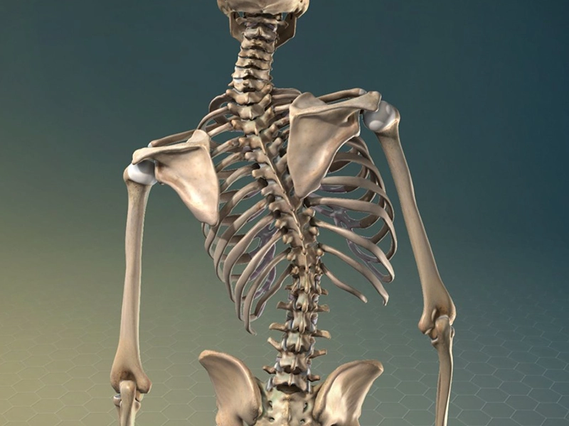 انحرافات ستون فقرات